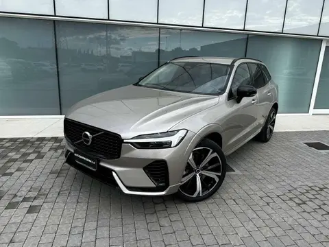 Annonce VOLVO XC60 Hybride 2024 d'occasion 