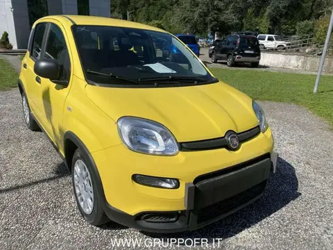 Annonce FIAT PANDA Hybride 2024 d'occasion 