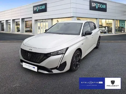 Used PEUGEOT 308 Hybrid 2023 Ad 