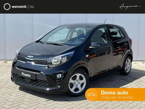 Used KIA PICANTO Petrol 2024 Ad 