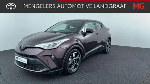 Used TOYOTA C-HR Hybrid 2023 Ad 