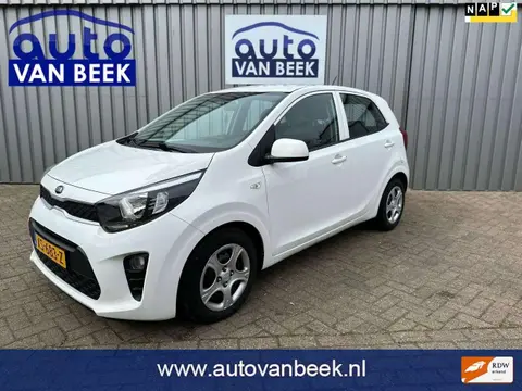 Used KIA PICANTO Petrol 2019 Ad 