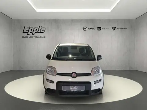 Annonce FIAT PANDA Essence 2024 d'occasion 