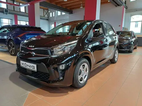 Used KIA PICANTO Petrol 2024 Ad 