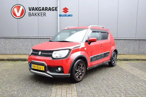 Used SUZUKI IGNIS Petrol 2017 Ad 