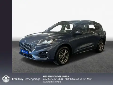 Annonce FORD KUGA Hybride 2022 d'occasion 