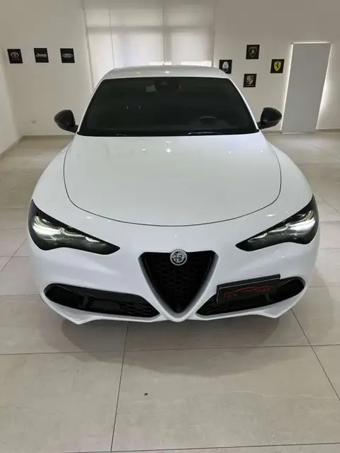 Annonce ALFA ROMEO STELVIO Diesel 2023 d'occasion 