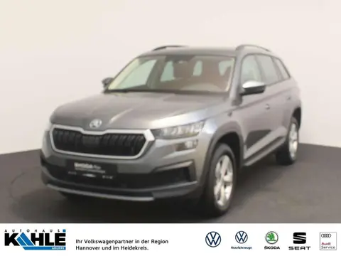 Used SKODA KODIAQ Petrol 2023 Ad 