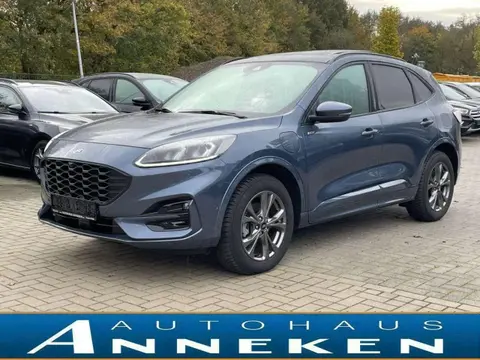 Annonce FORD KUGA Hybride 2022 d'occasion 