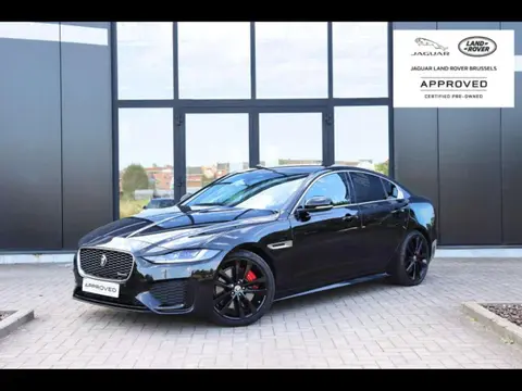 Used JAGUAR XE Diesel 2024 Ad 