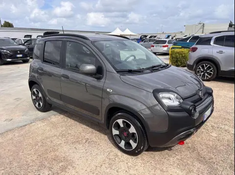 Used FIAT PANDA Hybrid 2023 Ad 