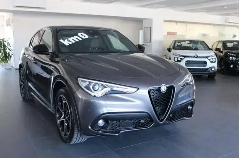 Used ALFA ROMEO STELVIO Diesel 2023 Ad 