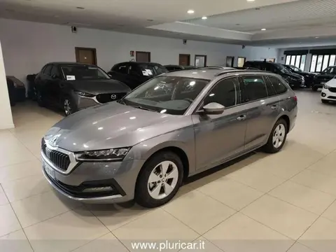 Annonce SKODA OCTAVIA Diesel 2022 d'occasion 