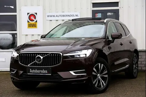 Used VOLVO XC60 Hybrid 2021 Ad 