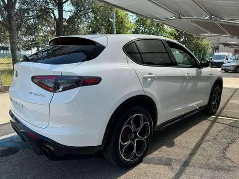 Annonce ALFA ROMEO STELVIO Diesel 2024 d'occasion 