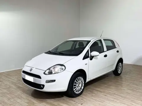 Annonce FIAT PUNTO  2017 d'occasion 