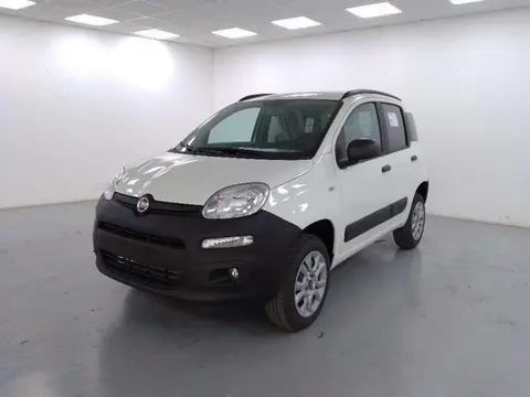 Used FIAT PANDA Petrol 2023 Ad 