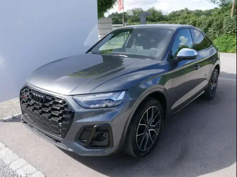 Annonce AUDI SQ5 Diesel 2024 d'occasion 