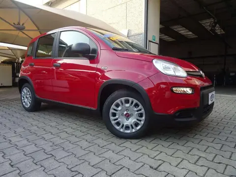 Annonce FIAT PANDA Hybride 2024 d'occasion 