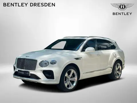 Used BENTLEY BENTAYGA Petrol 2023 Ad 