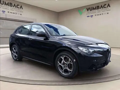 Used ALFA ROMEO STELVIO Diesel 2024 Ad 