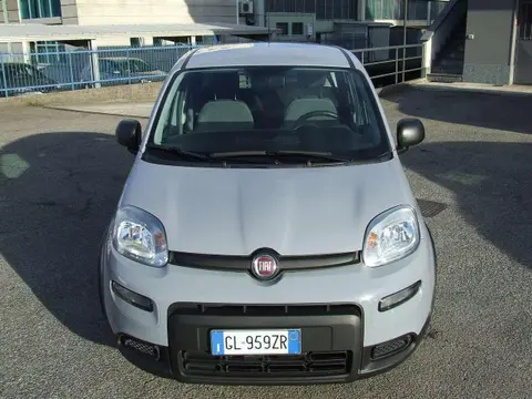 Annonce FIAT PANDA Hybride 2022 d'occasion 