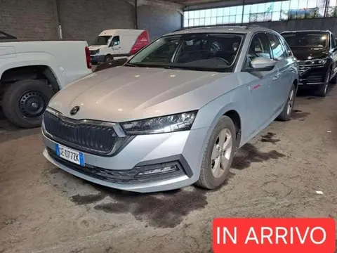 Used SKODA OCTAVIA Diesel 2021 Ad 