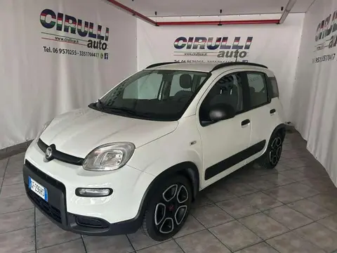 Annonce FIAT PANDA Hybride 2021 d'occasion 