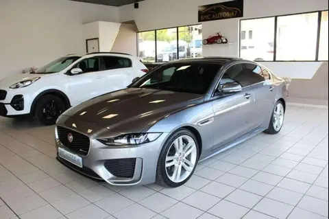 Used JAGUAR XE Diesel 2020 Ad 