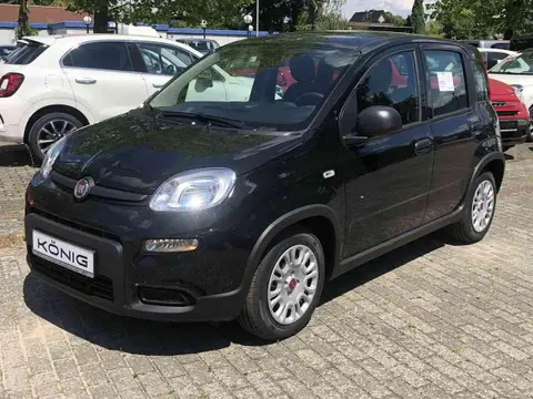 Annonce FIAT PANDA Essence 2024 d'occasion 