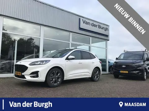 Annonce FORD KUGA Hybride 2020 d'occasion 