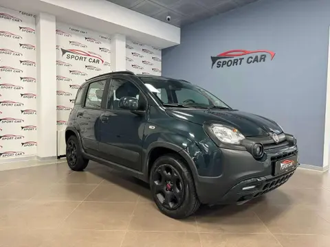 Annonce FIAT PANDA Hybride 2023 d'occasion 