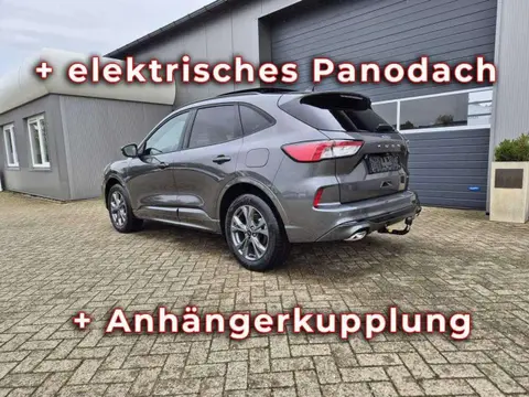 Annonce FORD KUGA Hybride 2024 d'occasion 