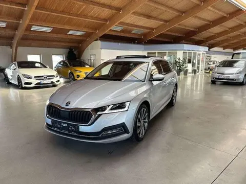 Annonce SKODA OCTAVIA Diesel 2021 d'occasion 