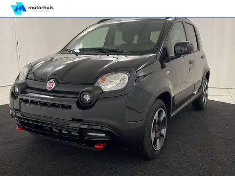 Annonce FIAT PANDA Hybride 2024 d'occasion 