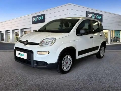 Annonce FIAT PANDA Essence 2022 d'occasion 