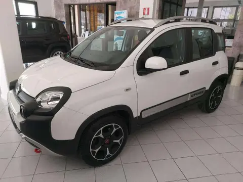 Used FIAT PANDA Hybrid 2022 Ad 