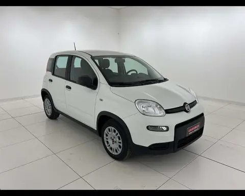 Used FIAT PANDA LPG 2024 Ad 