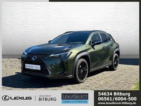 Used LEXUS UX Hybrid 2021 Ad 