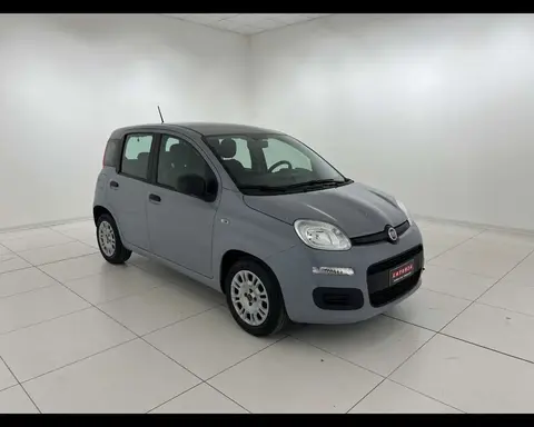 Annonce FIAT PANDA Hybride 2020 d'occasion 