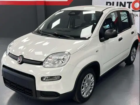 Annonce FIAT PANDA Hybride 2024 d'occasion 