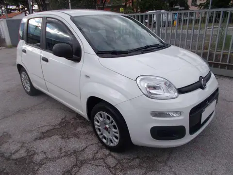 Used FIAT PANDA Petrol 2019 Ad 