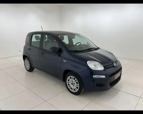 Used FIAT PANDA Hybrid 2021 Ad 