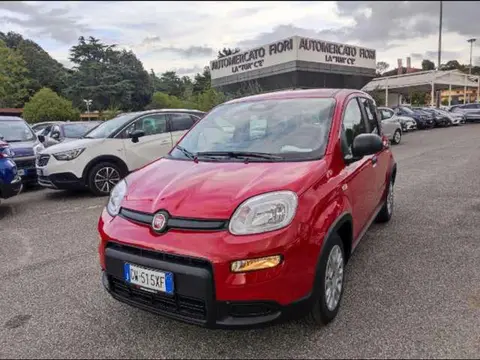 Annonce FIAT PANDA  2024 d'occasion 