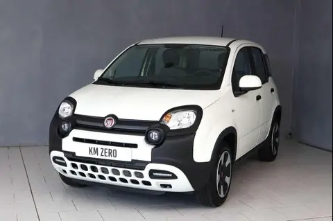 Annonce FIAT PANDA Hybride 2023 d'occasion 