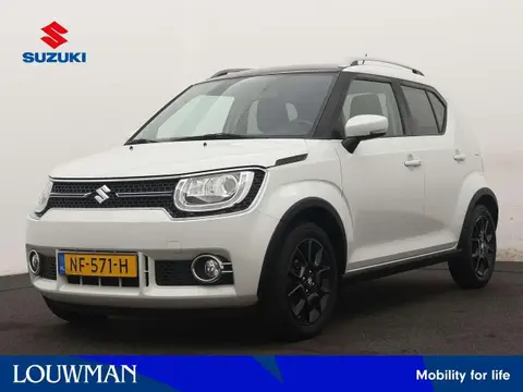 Used SUZUKI IGNIS Petrol 2017 Ad 