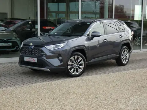 Used TOYOTA RAV4 Hybrid 2021 Ad 