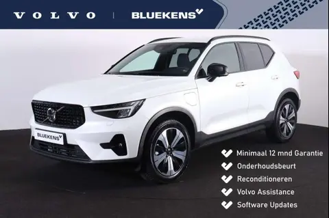 Annonce VOLVO XC40 Hybride 2023 d'occasion 