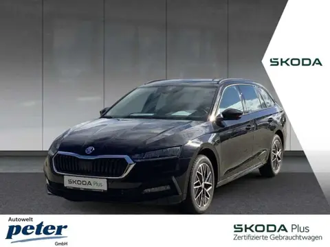 Used SKODA OCTAVIA Petrol 2023 Ad 