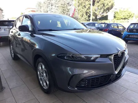 Used ALFA ROMEO TONALE Hybrid 2024 Ad 